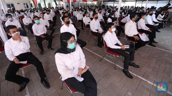 Syarat-Syarat Daftar CPNS Yang Harus Diketahui