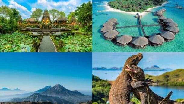 4 Cara Naik Bus Wisata Jakarta Terbaru